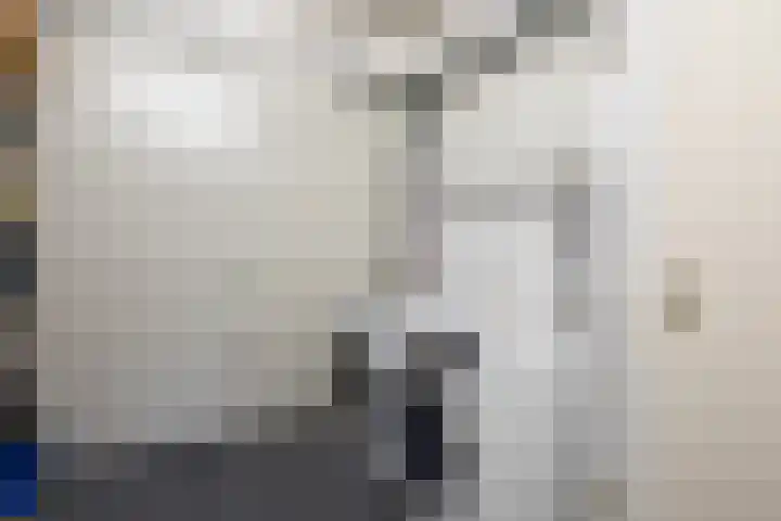 de Heul 27 Maasdam thumbnail 22