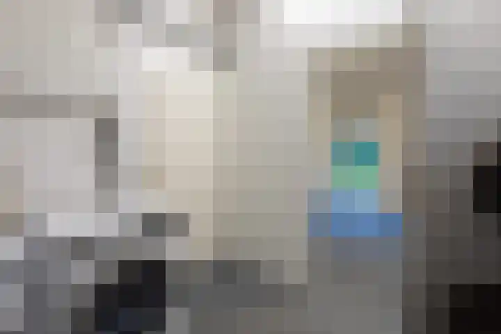 de Heul 27 Maasdam thumbnail 23