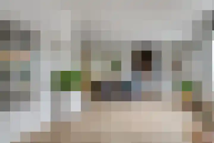 de Heul 27 Maasdam foto 3