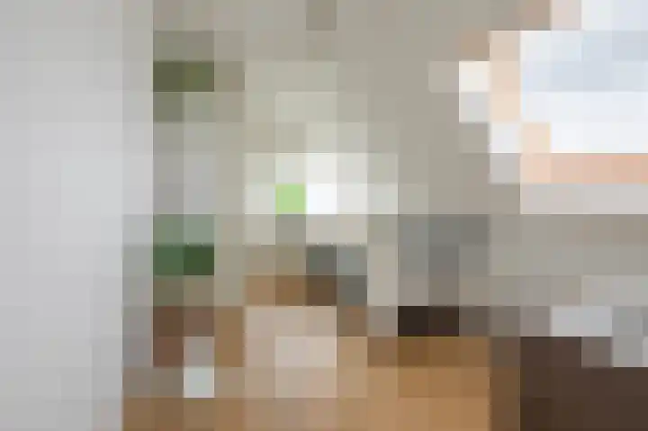 de Heul 27 Maasdam thumbnail 34
