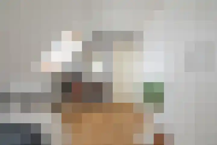 de Heul 27 Maasdam thumbnail 35