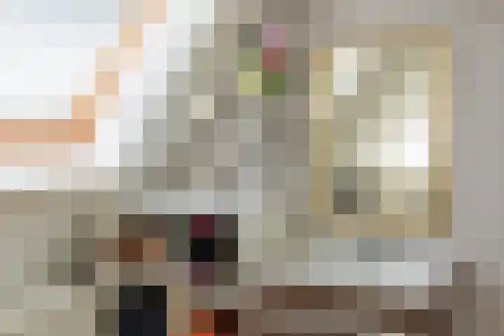 de Heul 27 Maasdam thumbnail 36