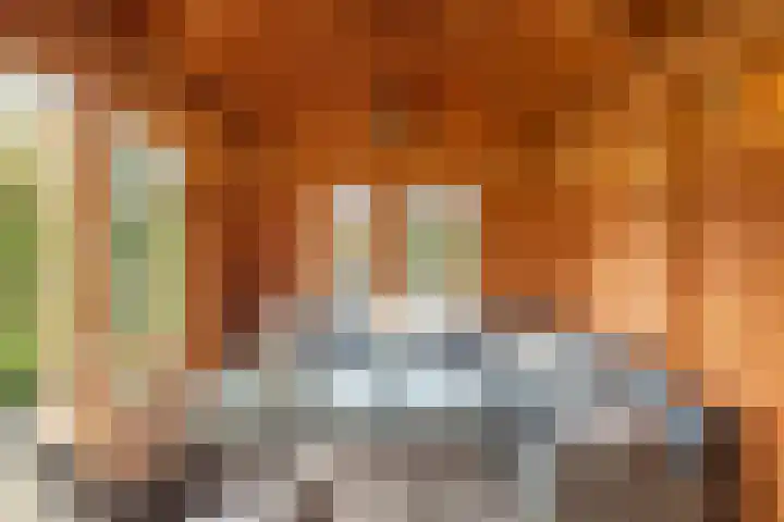 de Heul 27 Maasdam thumbnail 39