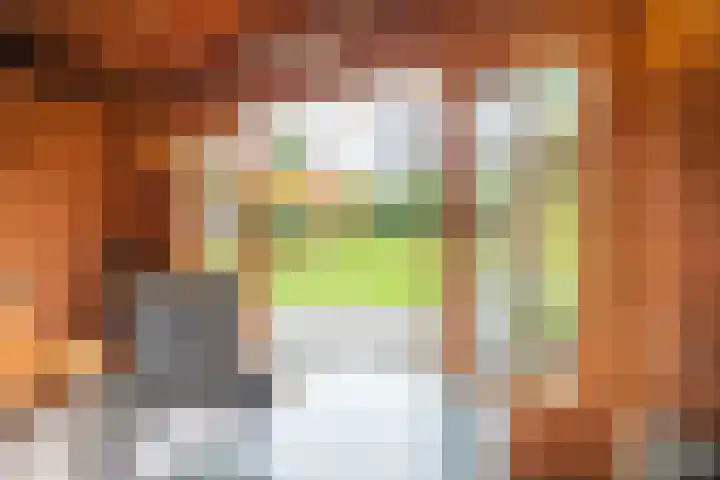 de Heul 27 Maasdam thumbnail 40