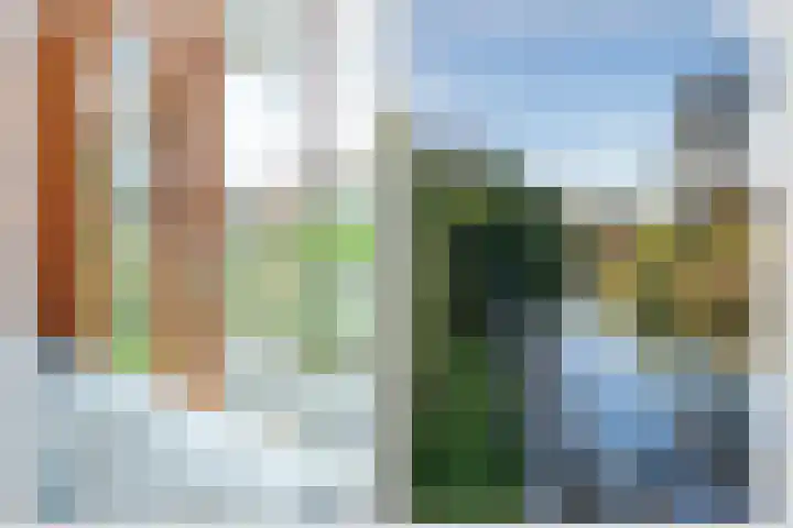 de Heul 27 Maasdam thumbnail 42