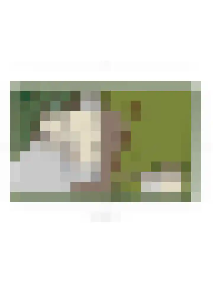 de Heul 27 Maasdam thumbnail 47