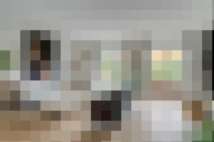 de Heul 27 Maasdam thumbnail 6