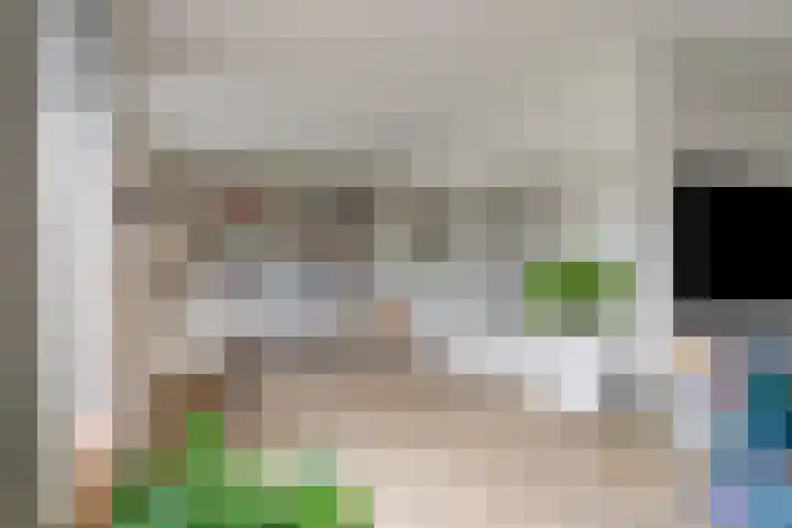 de Heul 27 Maasdam thumbnail 8