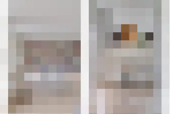 de Heul 27 Maasdam thumbnail 9