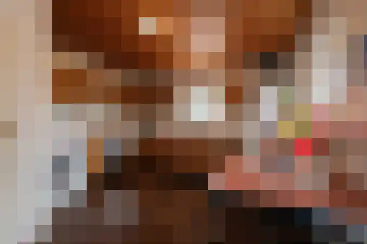 De Heul 4 b Hoeven thumbnail 20