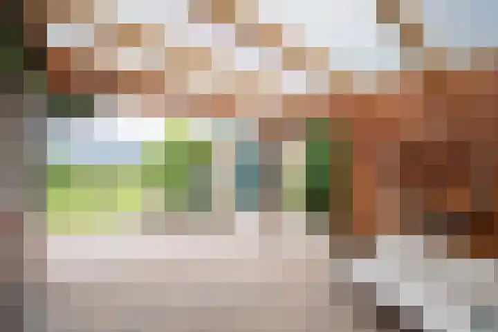 De Heul 4 b Hoeven thumbnail 23
