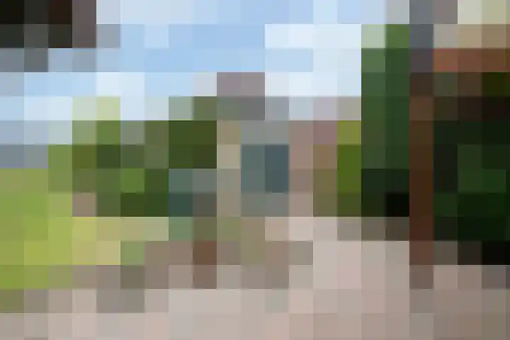 De Heul 4 b Hoeven thumbnail 28