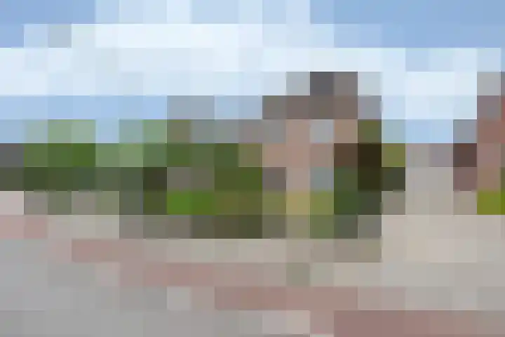 De Heul 4 b Hoeven foto 3