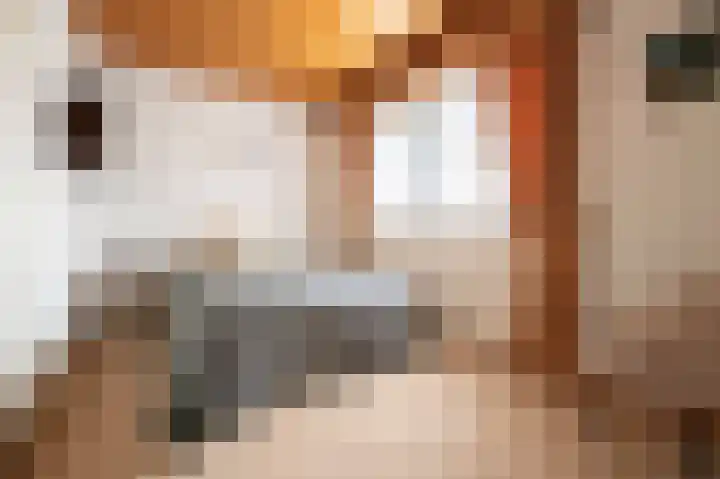 De Heul 4 b Hoeven thumbnail 34