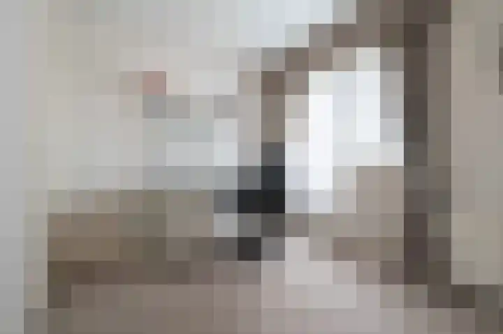 De Heul 4 b Hoeven thumbnail 39