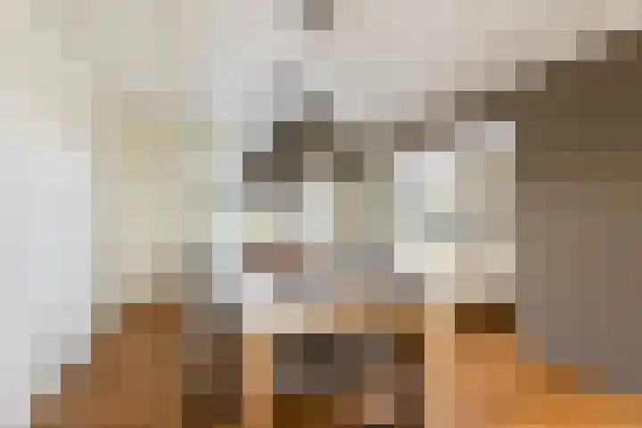 De Heul 44 a Hoeven thumbnail 11