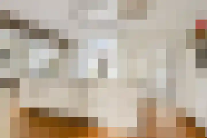 De Heul 44 a Hoeven thumbnail 13