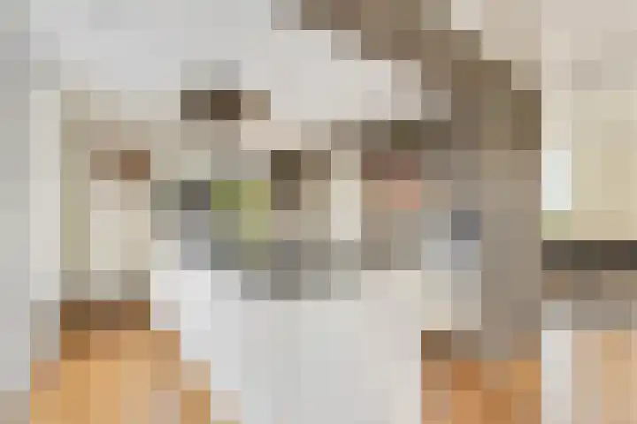 De Heul 44 a Hoeven thumbnail 15