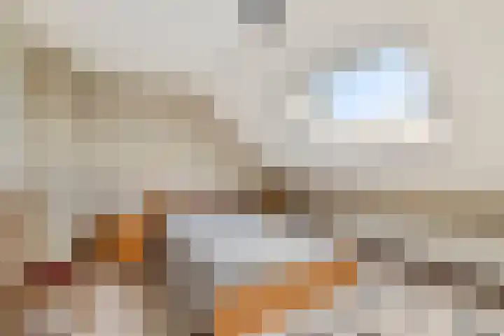De Heul 44 a Hoeven thumbnail 21