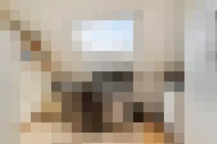De Heul 44 a Hoeven thumbnail 26