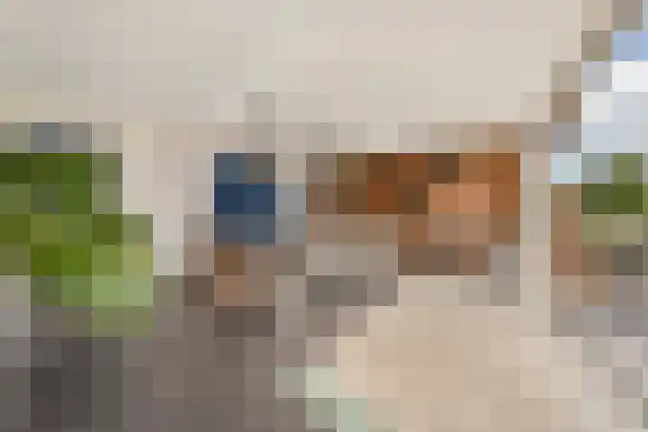 De Heul 44 a Hoeven thumbnail 28