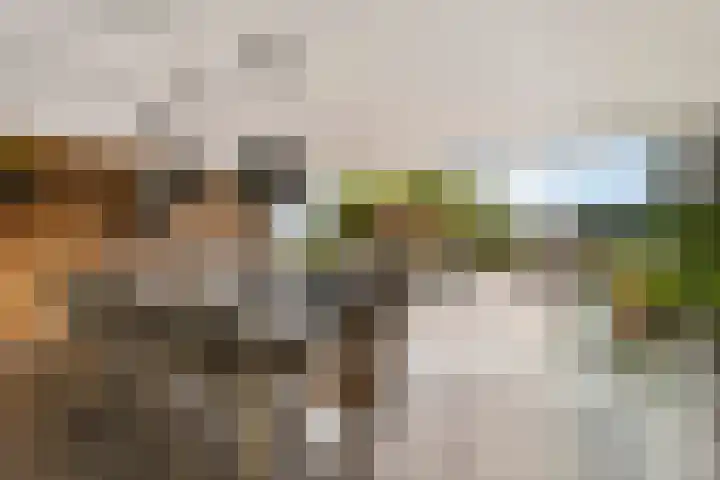 De Heul 44 a Hoeven thumbnail 4