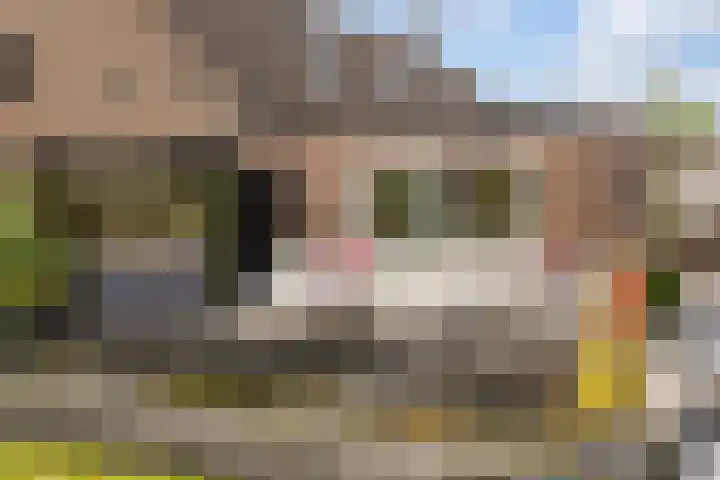 De Heul 44 a Hoeven thumbnail 41