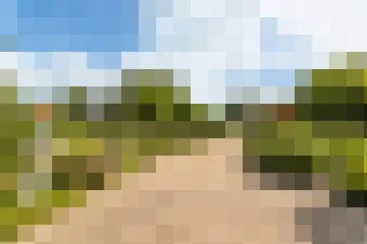 De Heul 44 a Hoeven thumbnail 43