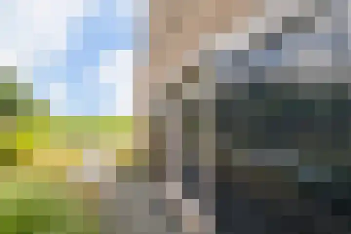 De Heul 44 a Hoeven thumbnail 45