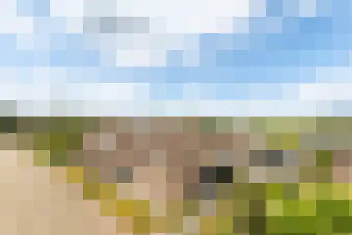 De Heul 44 a Hoeven thumbnail 52