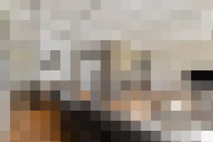 De Heul 44 a Hoeven thumbnail 8