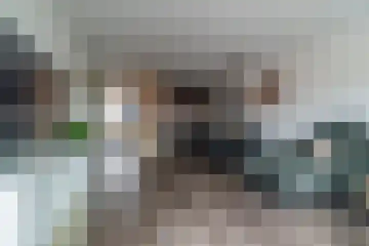 De Heurne 55 24 Enschede thumbnail 15