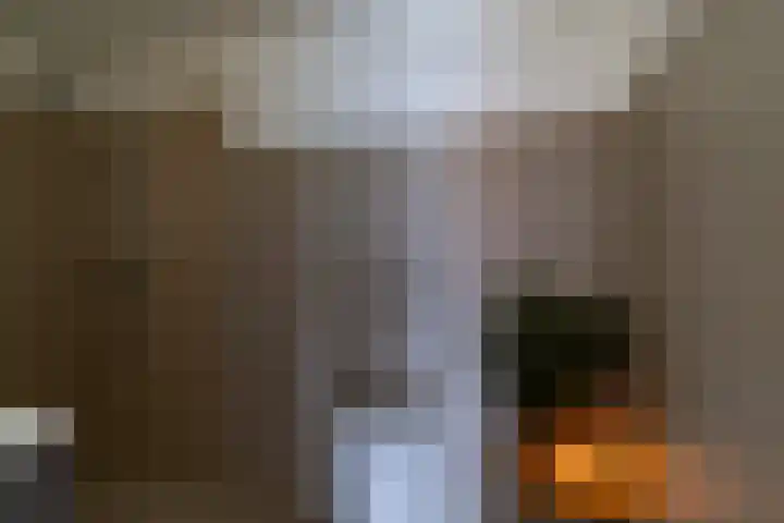 De Heurne 55 24 Enschede thumbnail 26