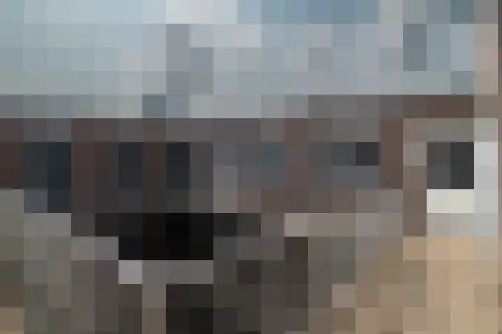 De Heurne 55 24 Enschede thumbnail 30