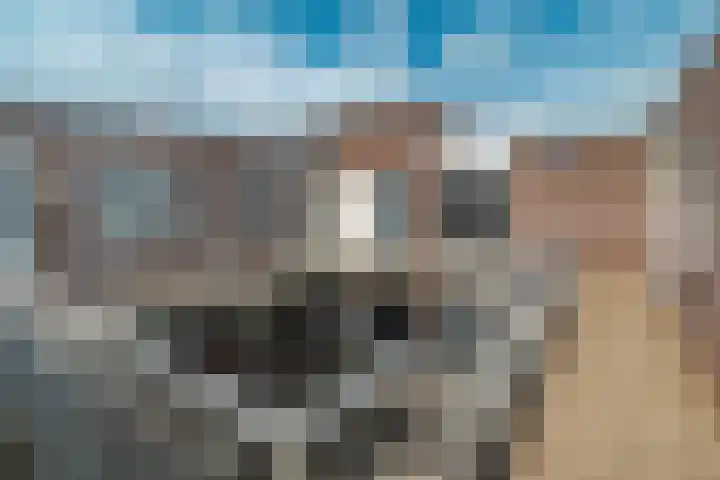 De Heurne 55 24 Enschede thumbnail 32