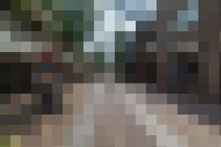 De Heurne 55 24 Enschede thumbnail 40