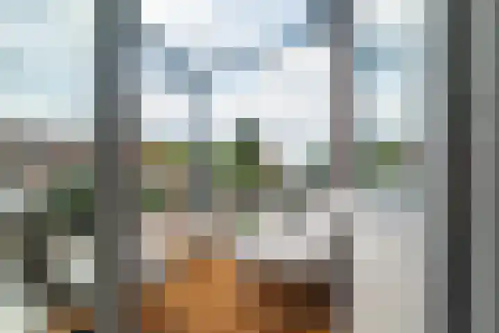 De Heurne 55 24 Enschede thumbnail 5