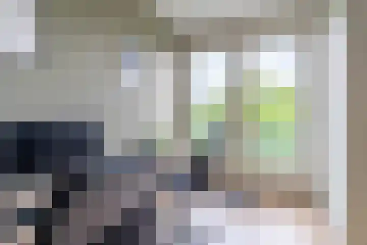 De Heuvelaar 37 Venray thumbnail 13