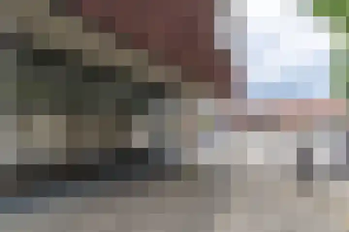 De Heuvelaar 37 Venray thumbnail 38