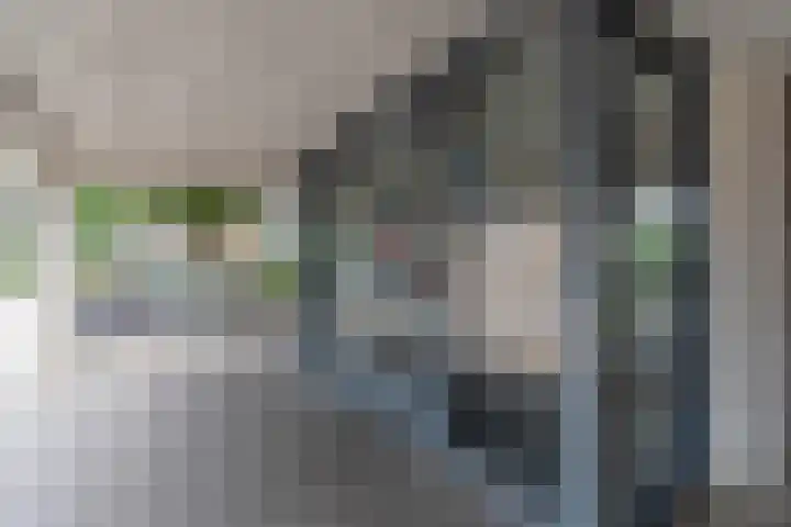 De Heuvelaar 37 Venray thumbnail 40