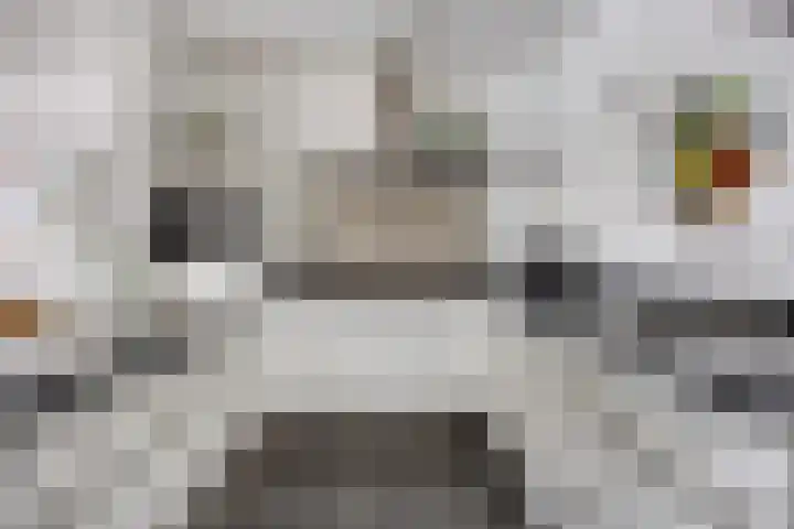 De Heze 27 Breda thumbnail 15