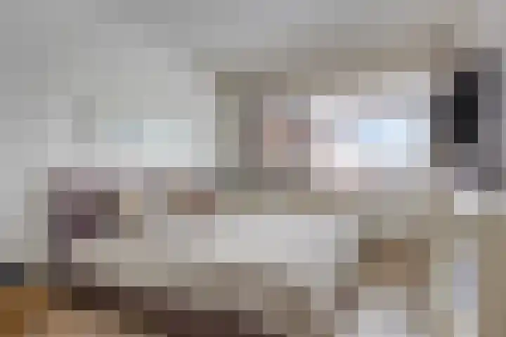 De Heze 27 Breda thumbnail 19
