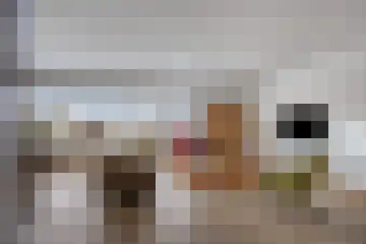 De Heze 27 Breda thumbnail 4