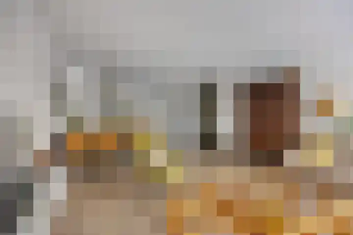 De Heze 27 Breda thumbnail 7