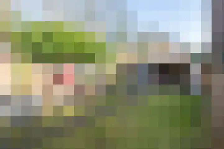 De Hietbrink 95 Emmen thumbnail 15