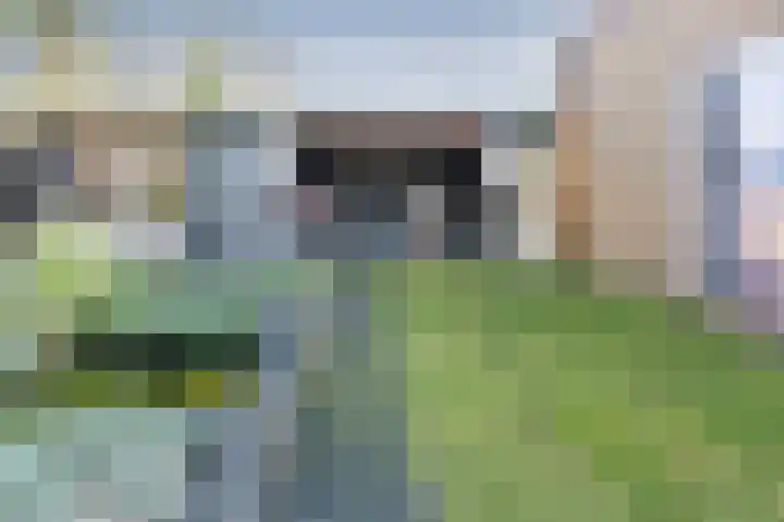 De Hietbrink 95 Emmen thumbnail 16