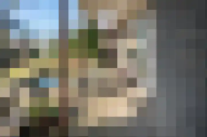De Hietbrink 95 Emmen thumbnail 34