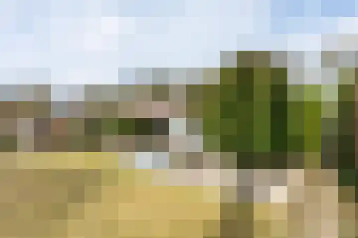 De Hietbrink 95 Emmen thumbnail 38