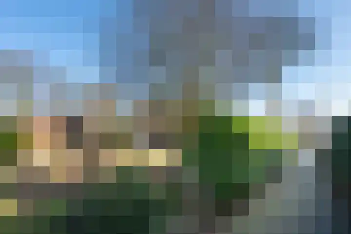 De Hietbrink 95 Emmen thumbnail 39
