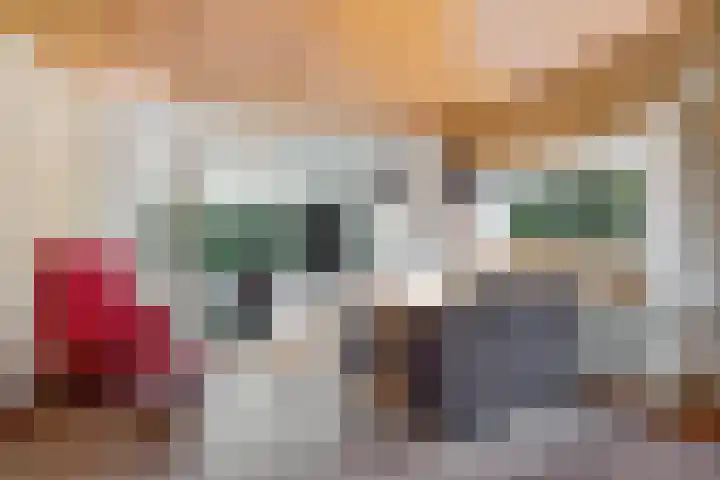 De Hietbrink 99 Emmen thumbnail 16